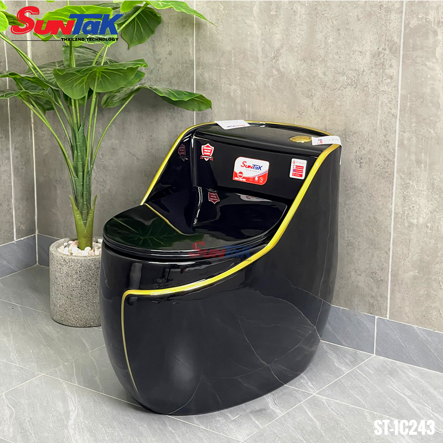 Bồn Cầu Quả Trứng 1 Khối Viền Vàng