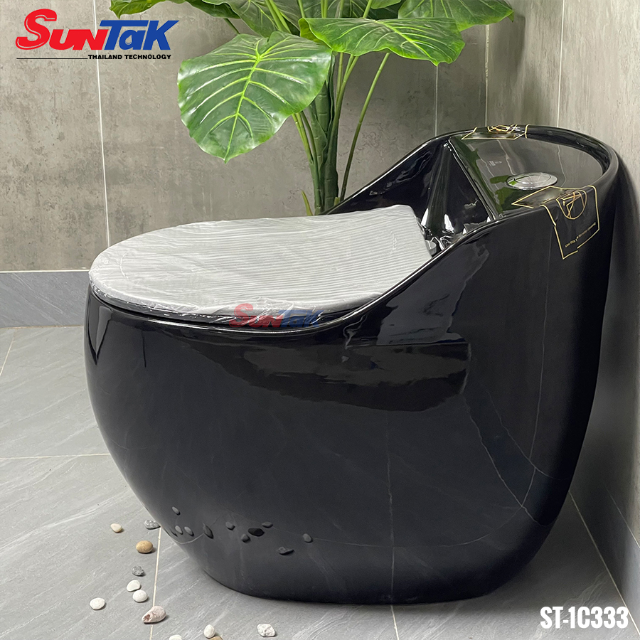 Bồn Cầu Trứng Màu Đen Nắp Rơi Êm