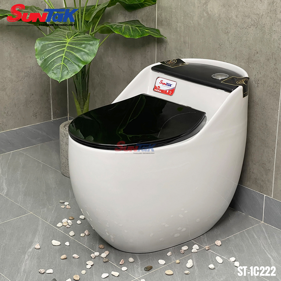 Bồn Cầu Trứng Màu Trắng Nắp Đen