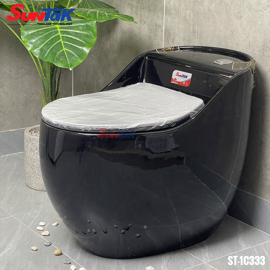 Bồn Cầu Trứng Màu Đen Nắp Rơi Êm
