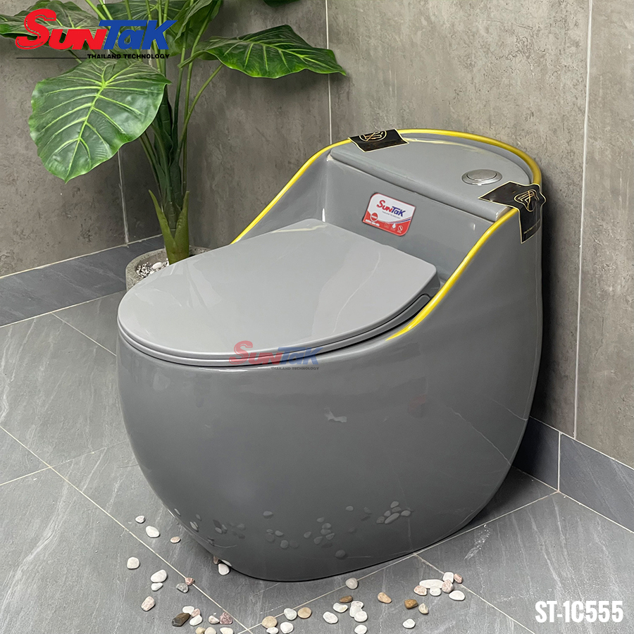Bồn Cầu Trứng Xám Viền Vàng ST-1C555