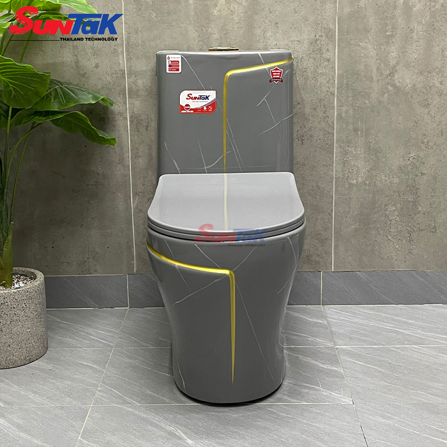 bồn cầu 1 khối xám viền vàng
