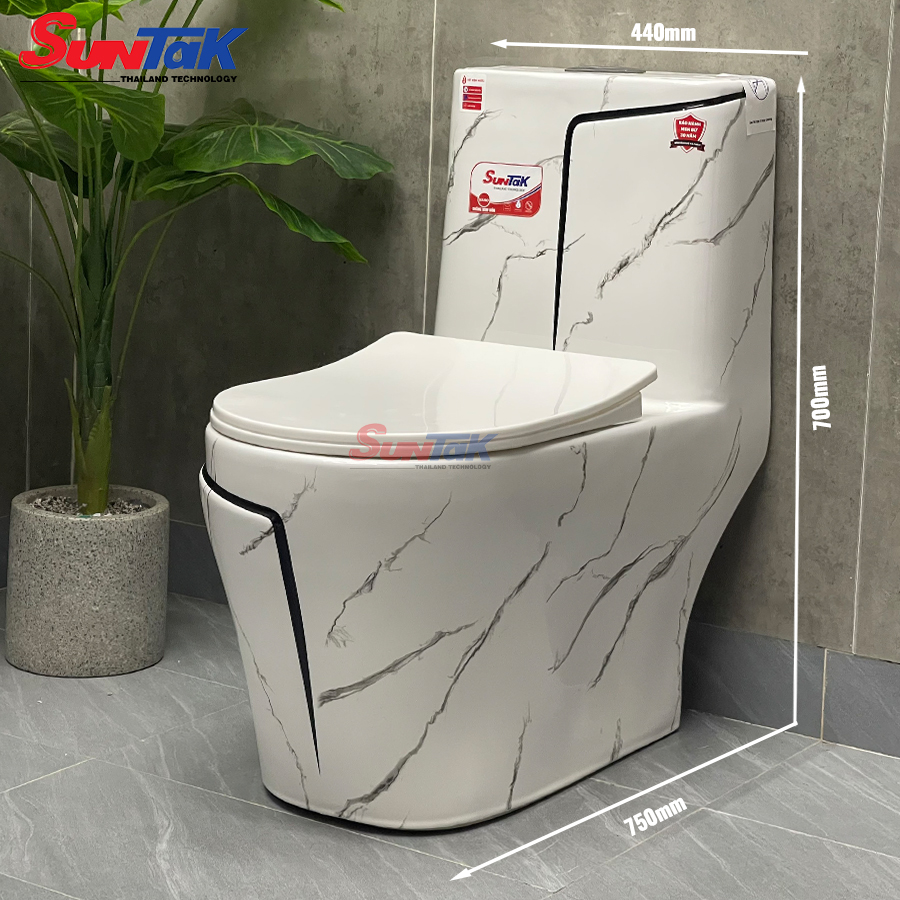 bồn cầu 1 khối vân đá đen