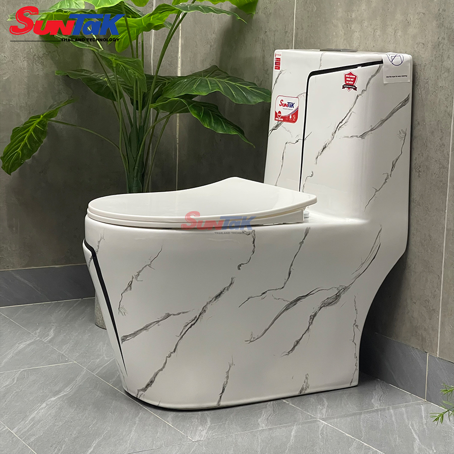 bồn cầu 1 khối vân đá đen