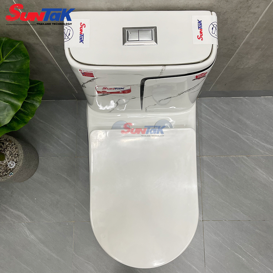 bồn cầu 1 khối vân đá đen