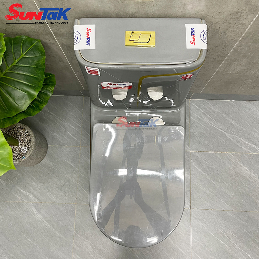 bồn cầu 1 khối xám viền vàng