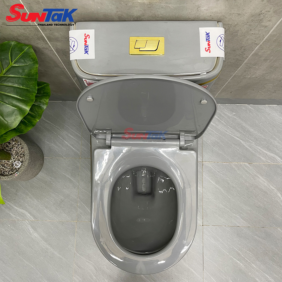bồn cầu 1 khối xám viền vàng
