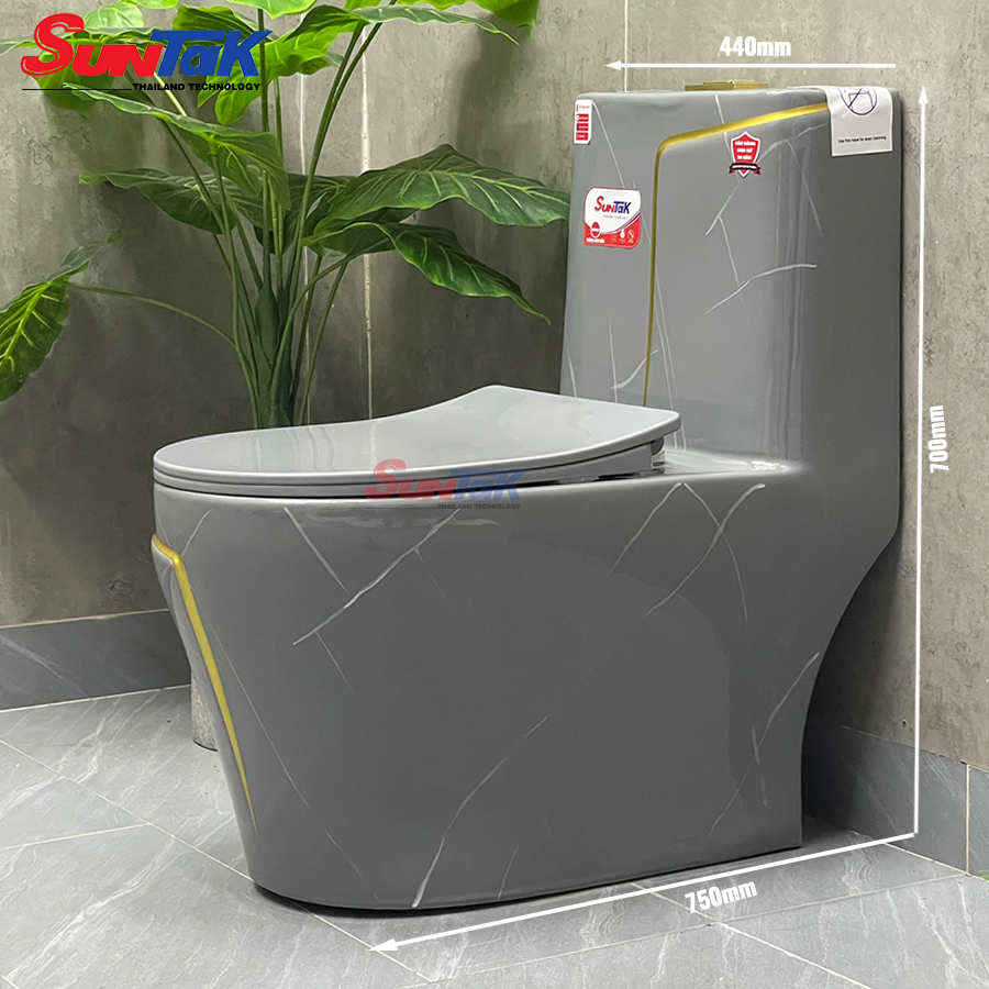 bồn cầu 1 khối xám viền vàng