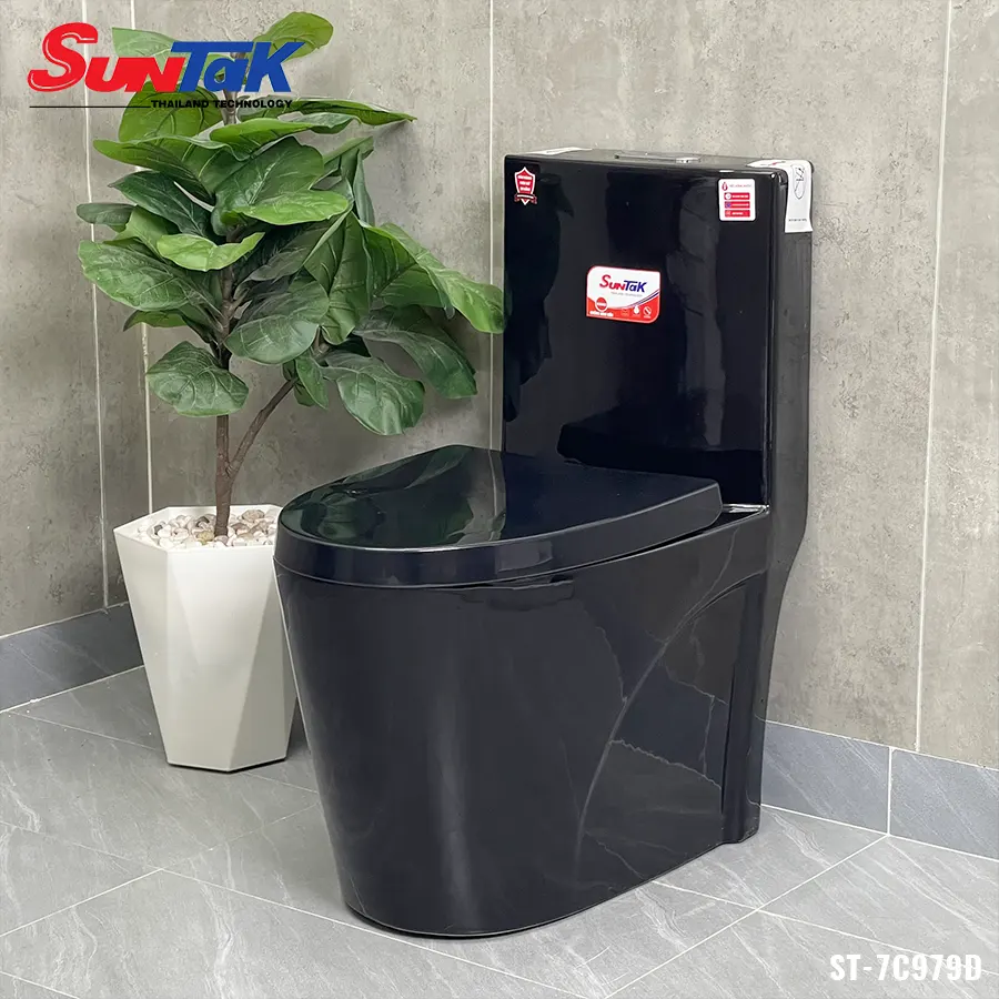 bồn cầu 1 khối đen