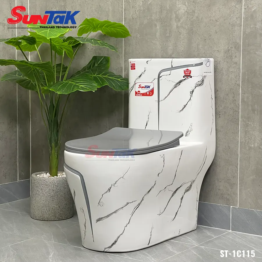 bồn cầu vân đá xám