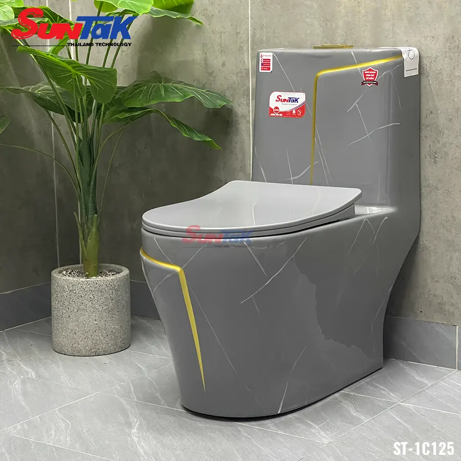 bồn cầu 1 khối xám viền vàng