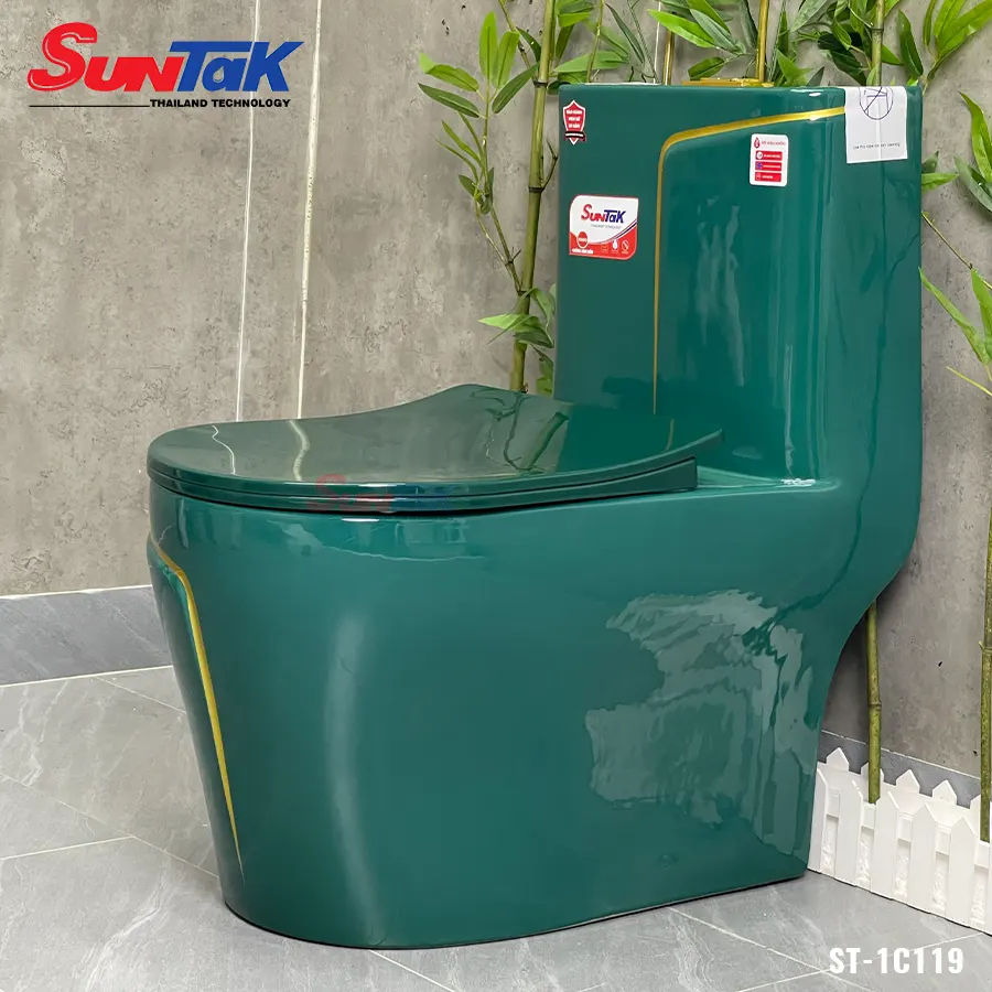 bồn cầu 1 khôí