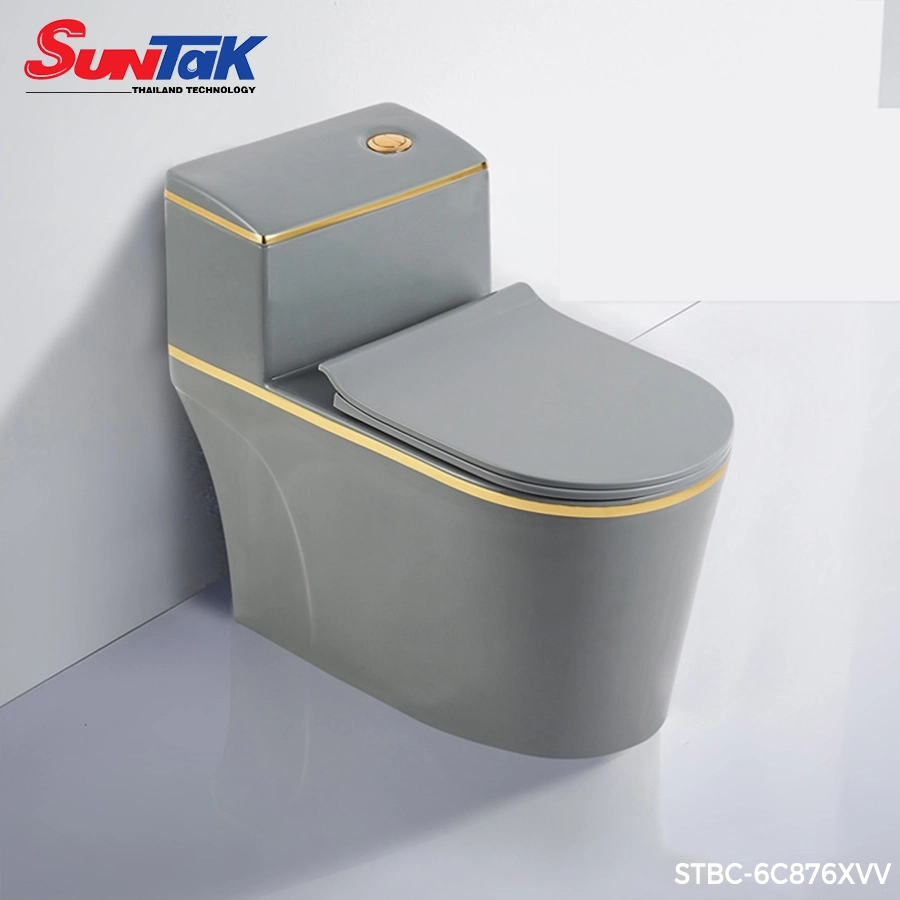 bồn cầu 1 khối xám viền vàng